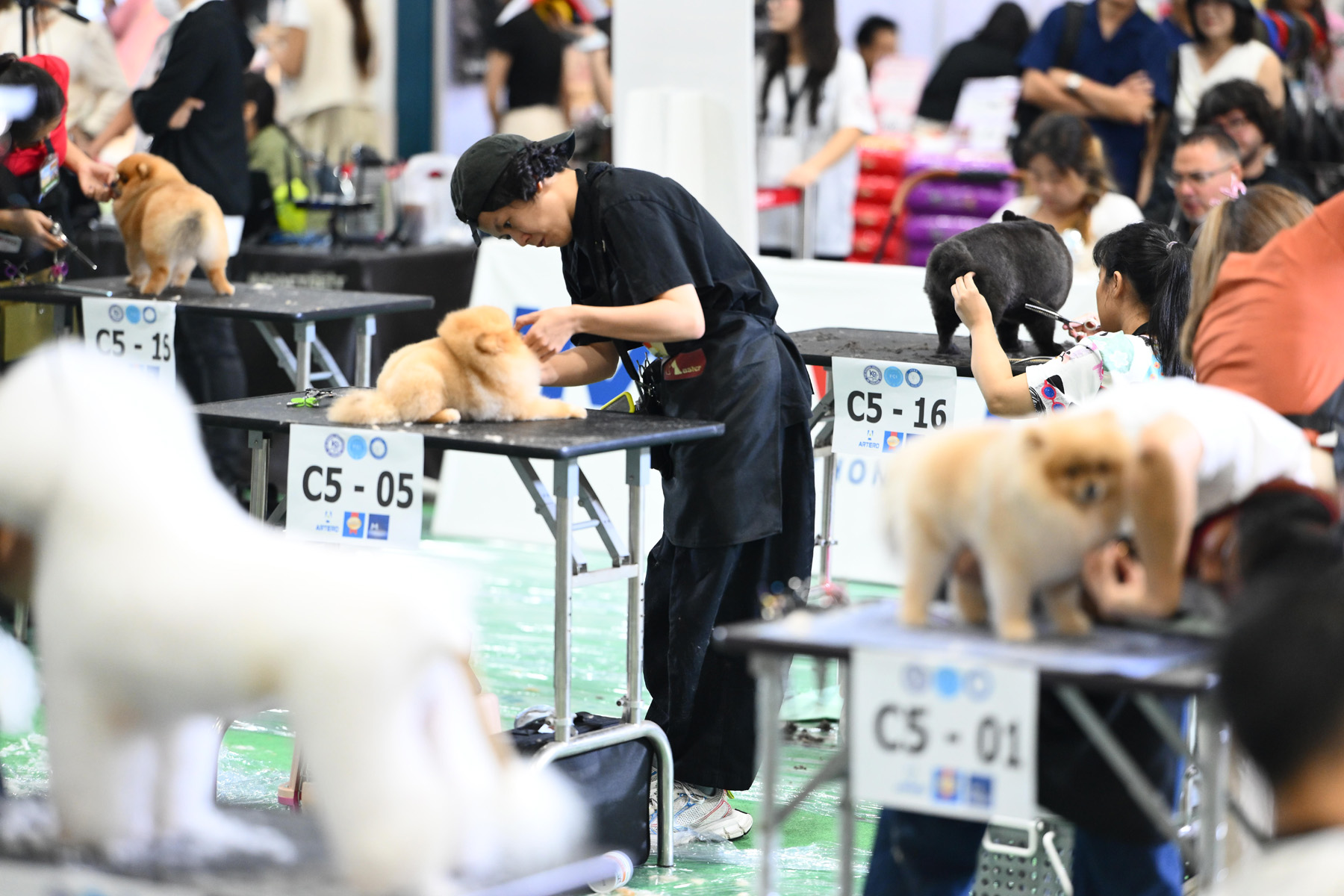 IMPACT Hosts 23rd Edition of Thailand International Dog Show Under the ...